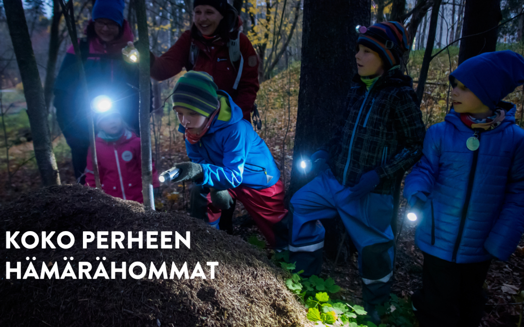 6.11. Kokoperheen hämärähommat Köykkyrissä