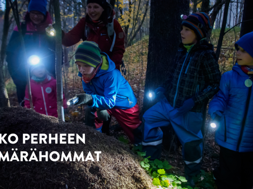 6.11. Kokoperheen hämärähommat Köykkyrissä